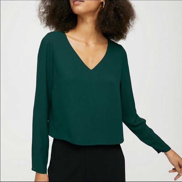 Aritzia Murphy Long Sleeve Blouse 